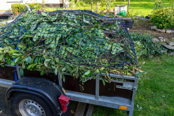 Best Hoarding Cleanup  in Van, TX